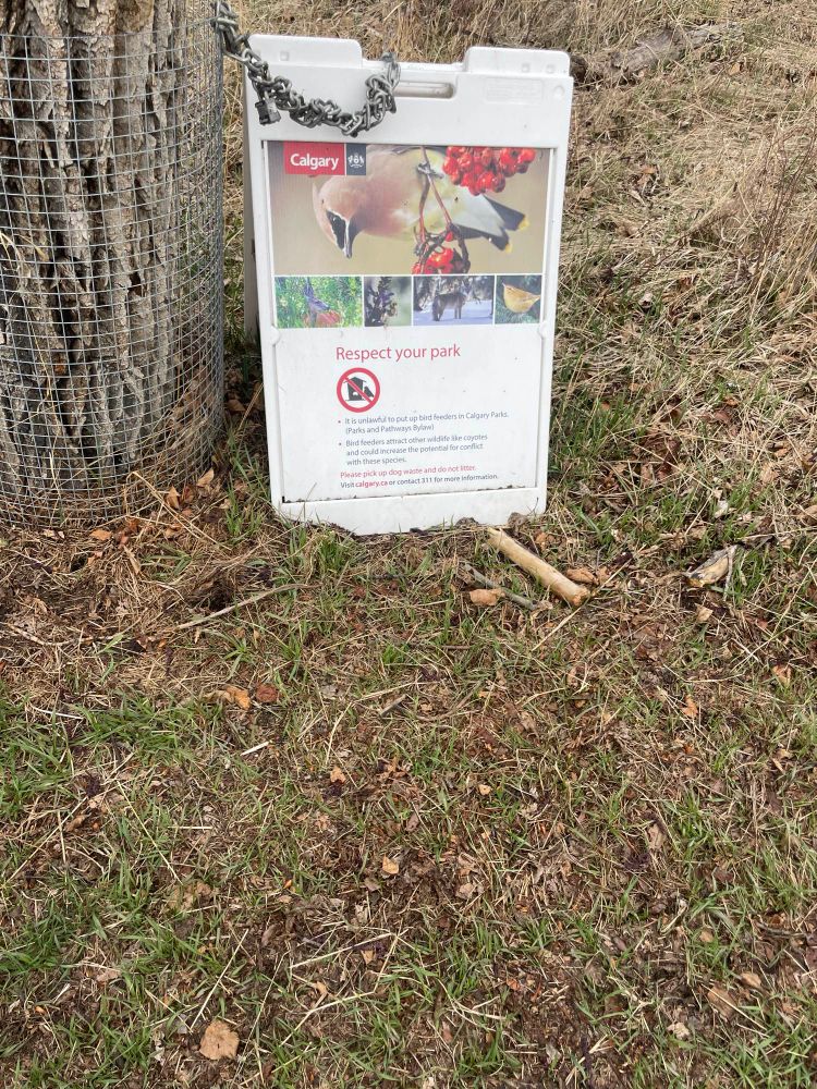 A sign attached to a tree saying it is unlawful to put up bird feeders in Calgary parks. 