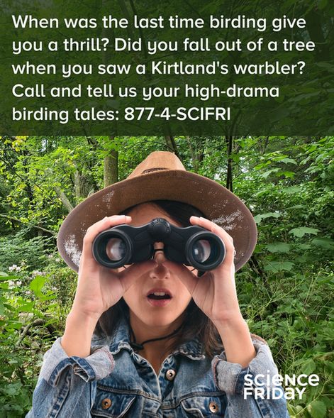 When was the last time birding give you a thrill? Did you fall out of a tree when you saw a Kirtland's warbler? 
Call and tell us your high-drama birding tales: 877-4-SCIFRI