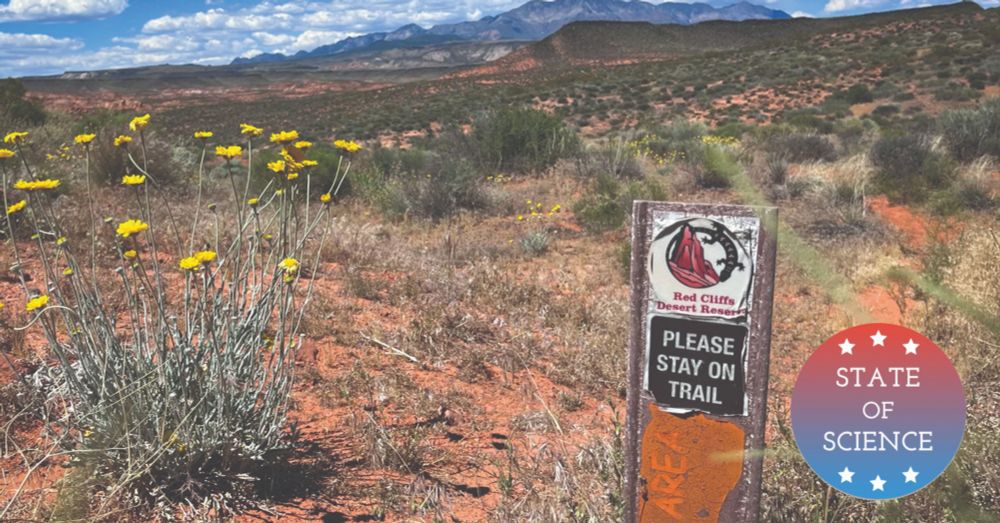 What Newly Approved Herbicides Could Mean For Federal Land