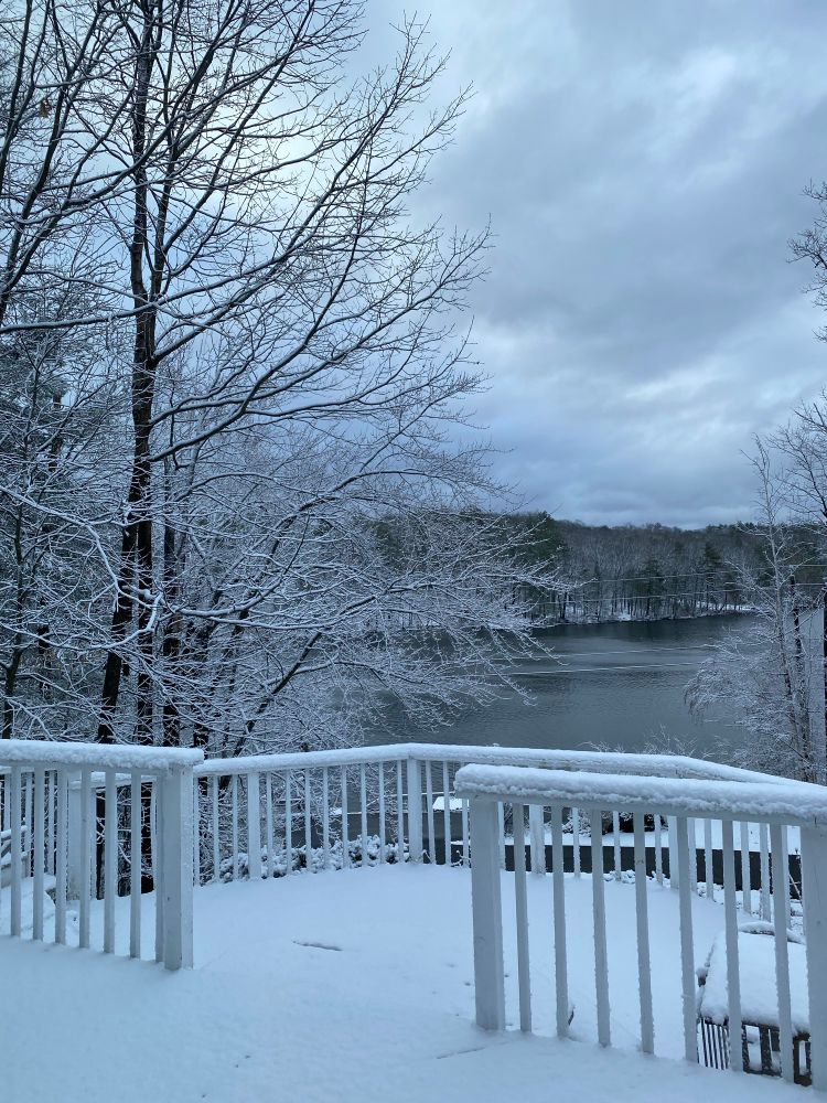 Snow-covered trees and railings overlooking a lake on the first day of Spring 
