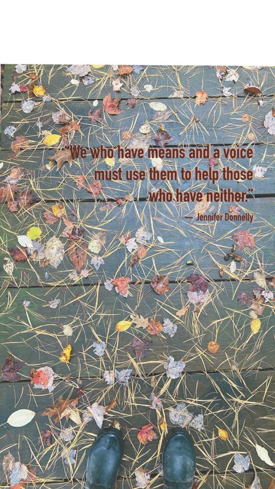 Wooden footbridge scattered with leaves and Pine needles With the quote: we who have means and a Voice must use them to help those who have neither. 