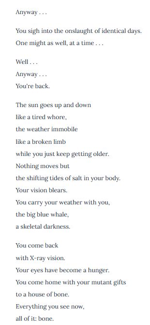 Anyway . . .

You sigh into the onslaught of identical days.
One might as well, at a time . . .

Well . . .
Anyway . . .
You're back.

The sun goes up and down
like a tired whore,
the weather immobile
like a broken limb
while you just keep getting older.
Nothing moves but
the shifting tides of salt in your body.
Your vision blears.
You carry your weather with you,
the big blue whale,
a skeletal darkness.

You come back
with X-ray vision.
Your eyes have become a hunger.
You come home with your mutant gifts
to a house of bone.
Everything you see now,
all of it: bone.