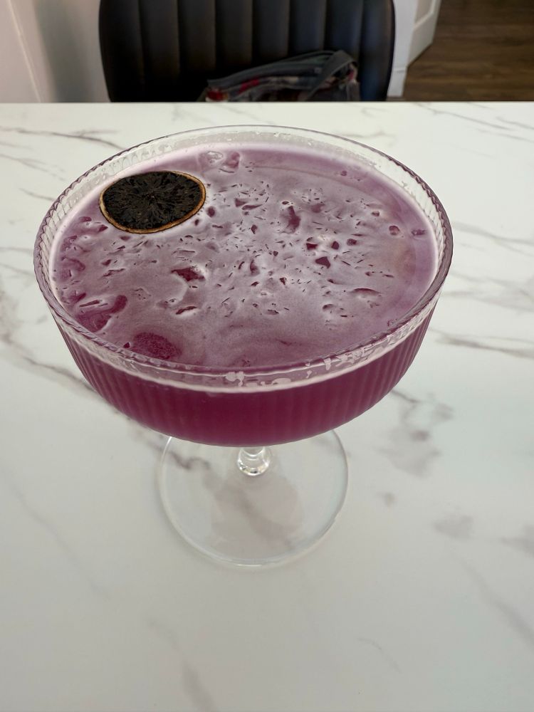 A cocktail glass with a purple beverage in it. Some sort of purple preserved citrus slice floating on top.