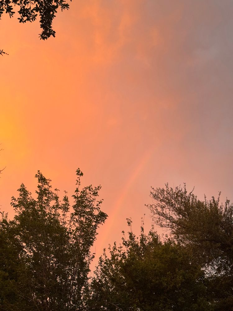 Orange-ish pink sky with rainbow and trees on the edges, same as before but with different colors