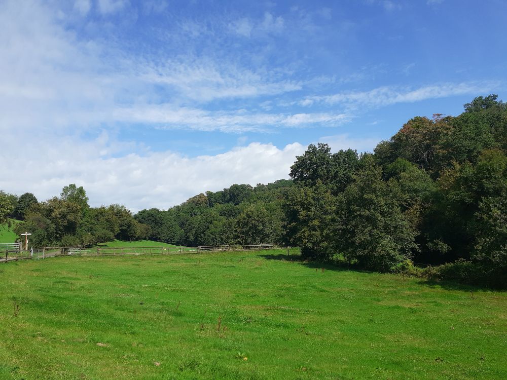Wiese in einem Tal, rechts Wald, links einzelne Bäume. Der Himmel ist blau mit leichter Bewölkung.