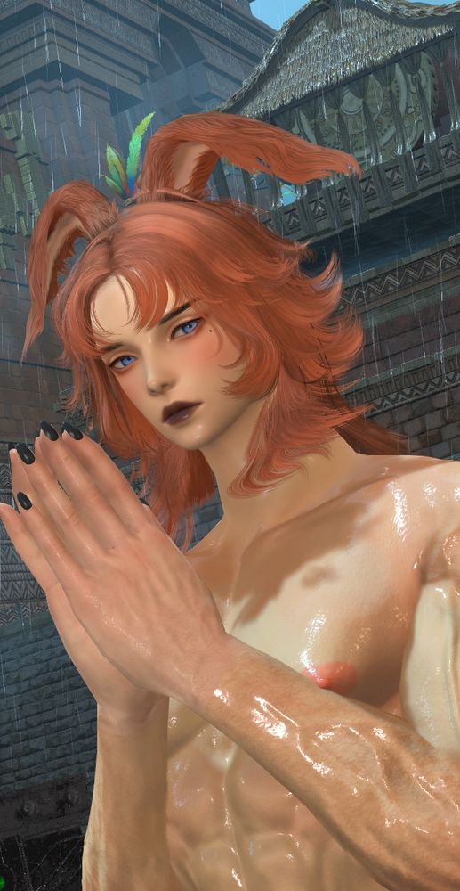 Looking respectfully *tail wags as carrot gives head pats*