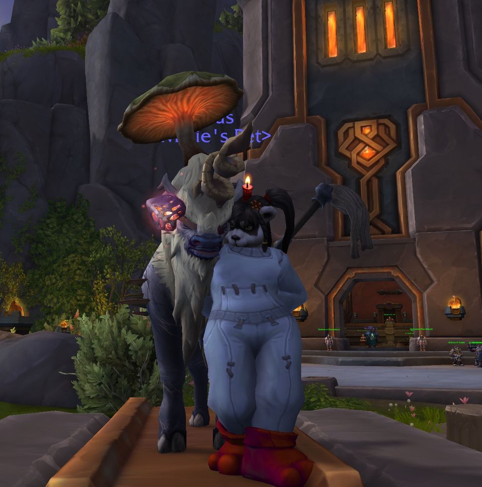 A world of Warcraft screenshot set in the earthen capitol of Dornogal. A Pandaren hunter wearing white sweats, red murloc slippers, a red candle on her head, and a 2 handed mop on her back as a weapon. She is leaning back against and snuggling her pet shalehorn who is covered in various types of mushrooms including a giant mushroom on his head that looks like an umBella. 