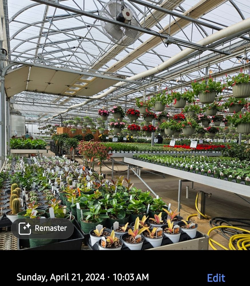 April 21 2024 garden center opening 