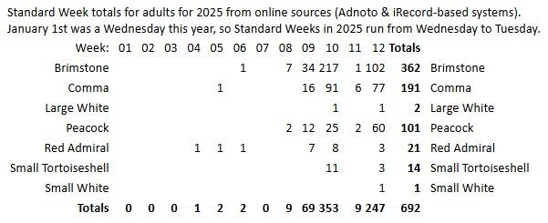 A table of data showing how many adults of each butterfly species have been reported in each week of 2025, so far. The totals for the year so far are Brimstone - 362, Comma - 191, Large White - 2, Peacock - 101, Red Admiral - 21, Small Tortoiseshell - 14, Small White 1.