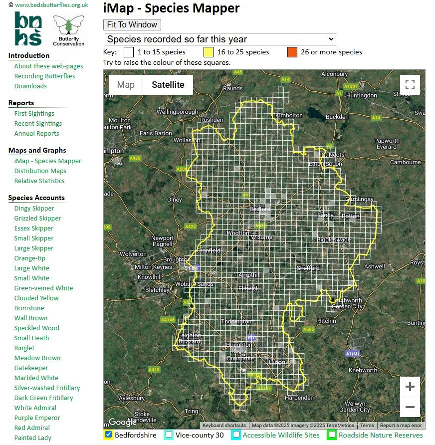Screenshot from iMap, an interactive tool showing all the 1km squares in Bedfordshire. Each square can be interrogated to list what species have been recorded. The selection shown is of all locations where species have been reported so far in 2025.