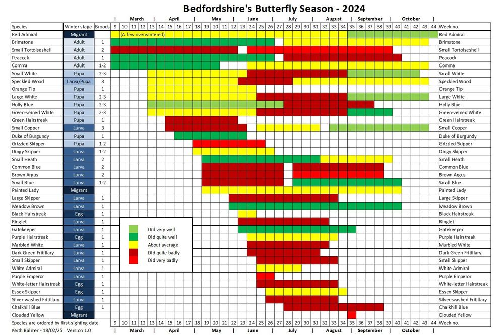 Chart showing each Bedfordshire species' flight period coloured according to each brood's success in 2024. There is considerable variation between species and even between broods within one species. It was a complicated season in Bedfordshire.