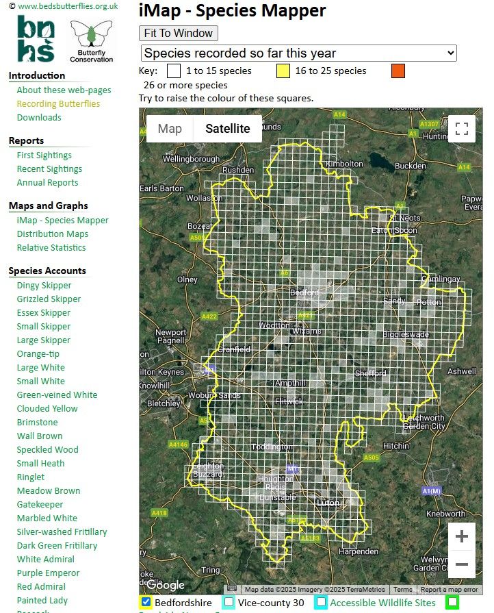 A map of Bedfordshire showing which 1km squares have butterfly record(s) for 2025. The map can be interrogated via the link in the post.