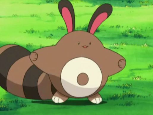 A sentret looking happy in a field, giving an air hug. 
