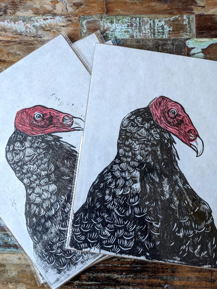 Two of my turkey vulture linocut prints fanned out on my coffee table. The print features a turkey vulture in profile, with its distinctive pink head,  the neck and "shoulders" in black with some loose cuts for feathers. 
