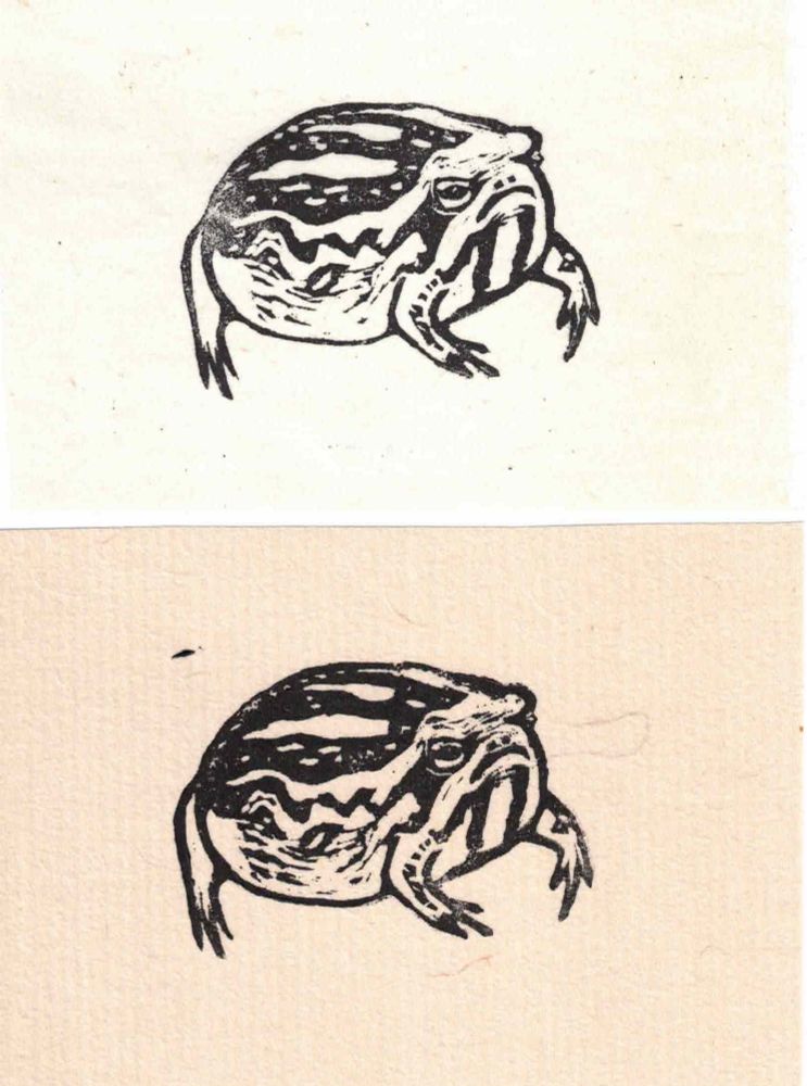 Two linocut prints in black, one on an off white paper and one on a beige paper. Both of a desert rain frog, a round, unsmiling little guy with stubby legs.