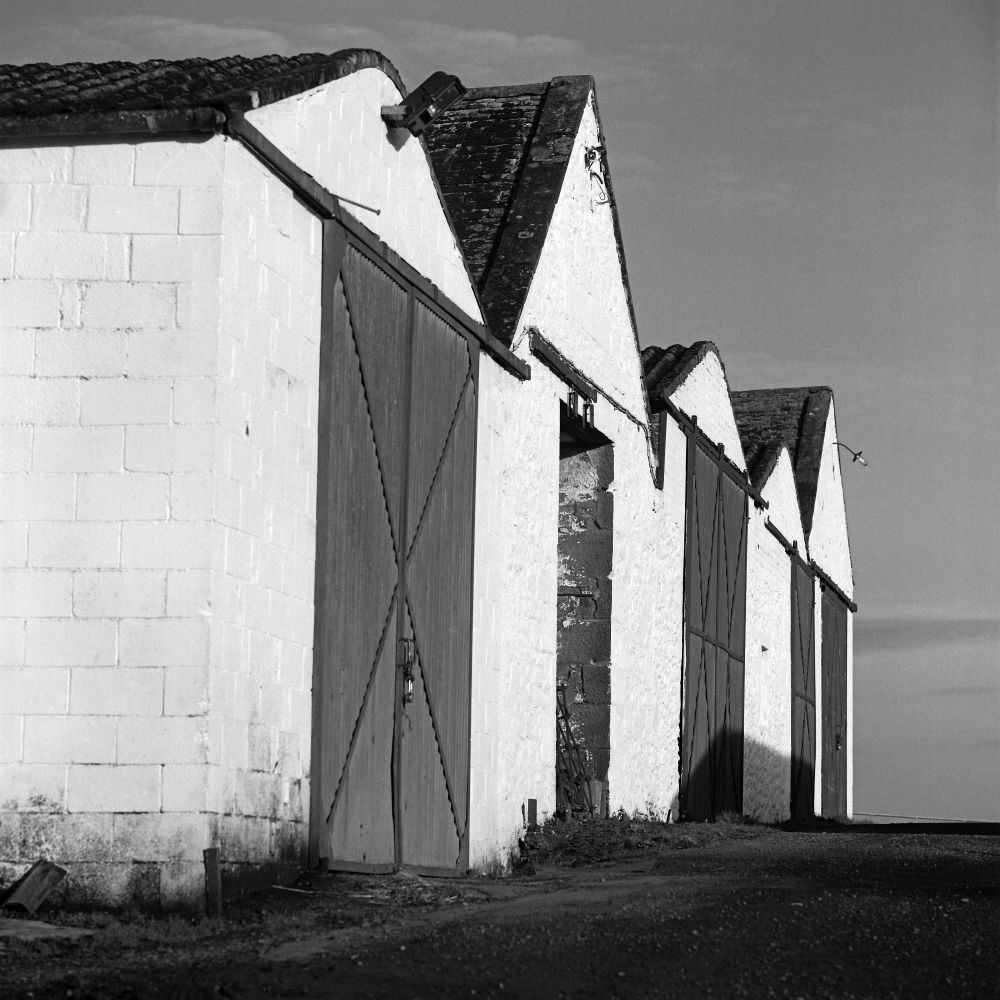 View of four connected farm buildings built of concrete breeze blocks and painted white.