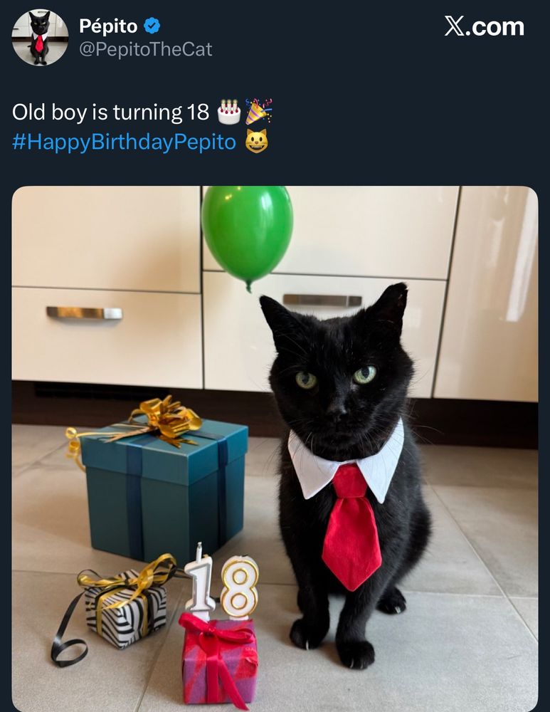 Print do tweet da conta @PepitoTheCat - Old boy ia turning 18 #HappyBirthdayPepito - imagem do Pépito, gato preto de olhos verdes, usando uma gravatinha vermelha ao lado de presentes e balão verde de aniversário