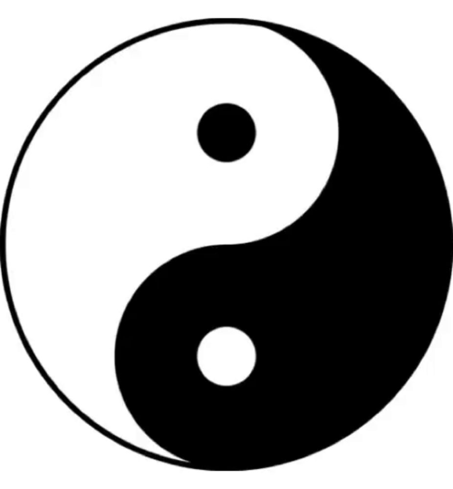 a black and white yin yang symbol with two circles in it