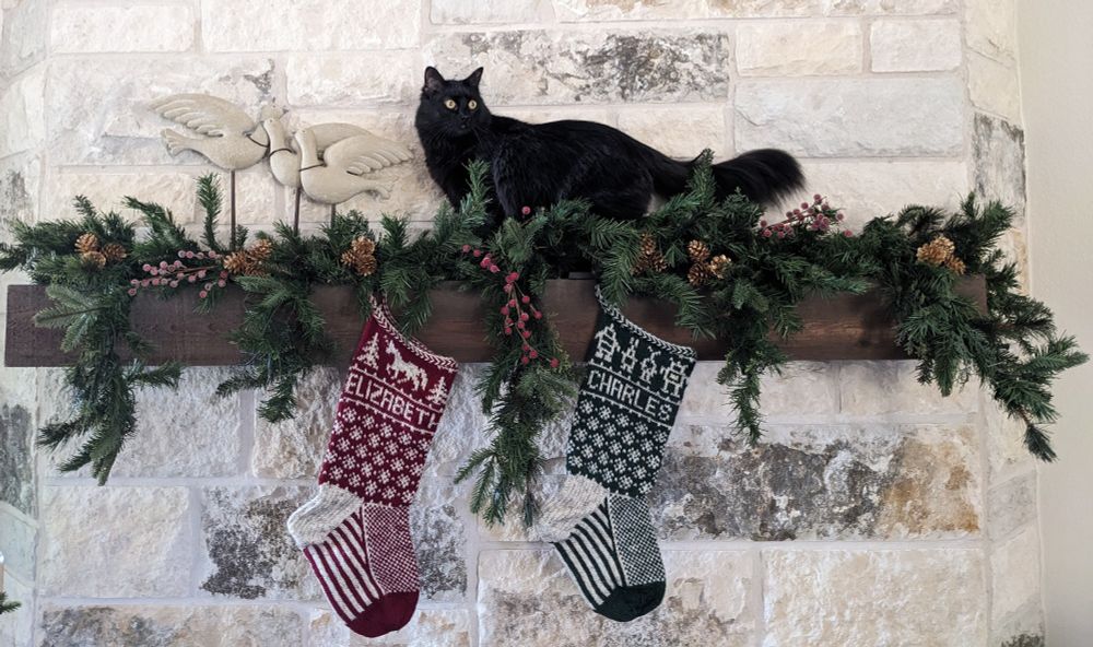 Hocus, on the mantle where he shouldn't be