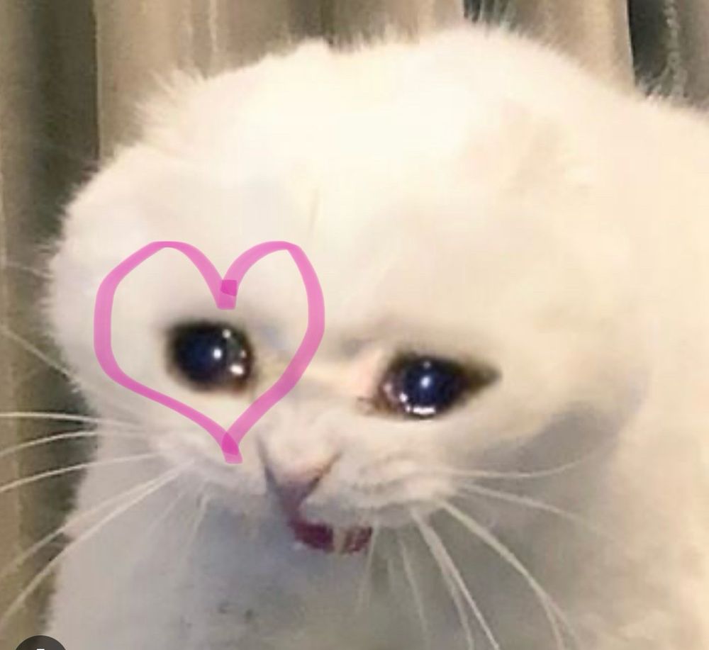 crying cat meme with a lover heart drawn around one of the eyes. 