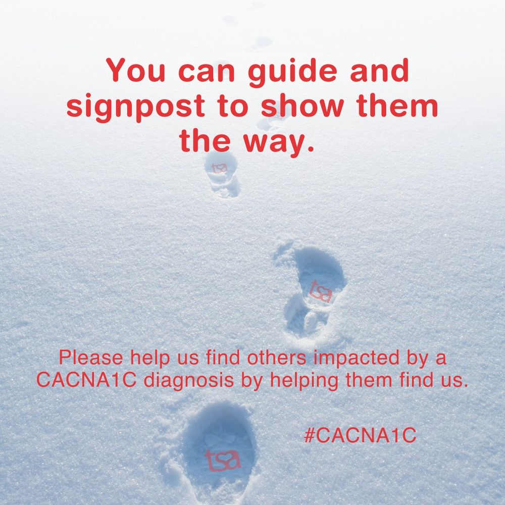 The image is of crisp white snow with footprints leaving the logo of Timothy Syndrome Alliance in their wake. Text reads You can guide and signpost to show them the way. Please help us find others impacted by a CACNA1C diagnosis by helping them find us. #CACNA1C