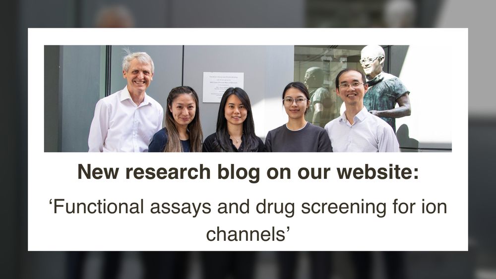 A group of five researchers, three women and two men, stand together in front of a modern building with a plaque on the wall. They are dressed in professional attire and are smiling at the camera. The image is framed with a white border, and below it, text announces a new research article on a website titled 'Functional assays and drug screening for ion channels.'