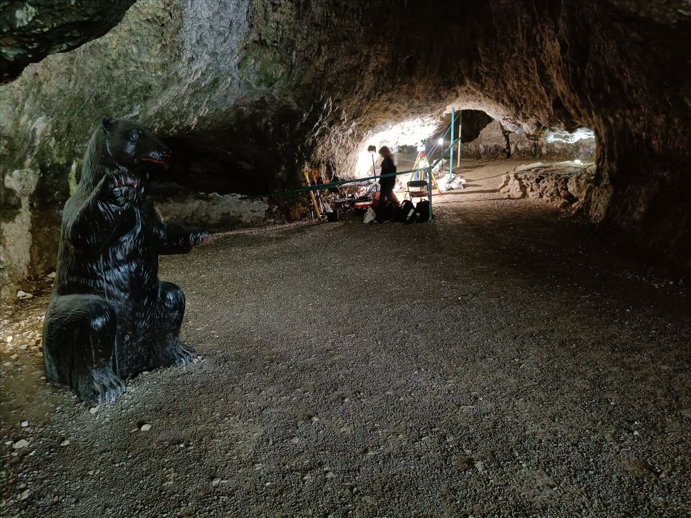 A view of Trench 1, in the main cave chamber. A model of a bear is visible to the right!