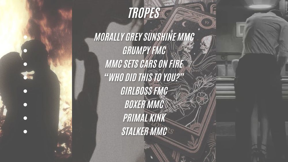 these are the main tropes of the book *not* including the numerous microtropes that would've made this list TOO LONG otherwise !!