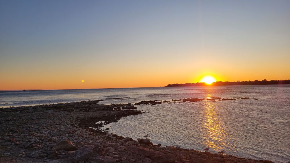 The sun setting behind trees on the Canadian side of Lake Erie. Gulls are hanging out on rocks by the water. (Some geese, cormorants, and mallards possibly in the mix.)