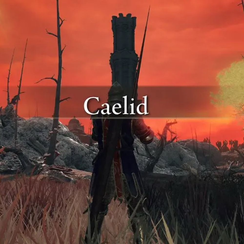 Capture d’écran du jeu Elden Ring.
Entrée dans la zone cauchemardesque de Caelid, où le ciel est rouge, les arbres sont décharnés, et le moindre brin d’herbe veut votre mort.