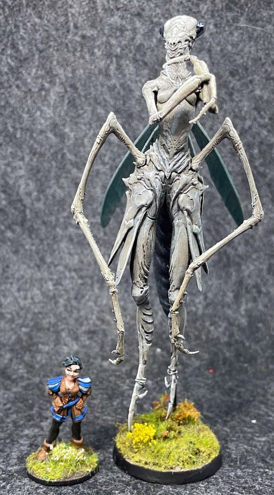 A large praying mantis miniature, next to a 32mm scale mini of a human.  She's at least 4 times taller than the human 😅
The human seems oddly unconcerned about this ..