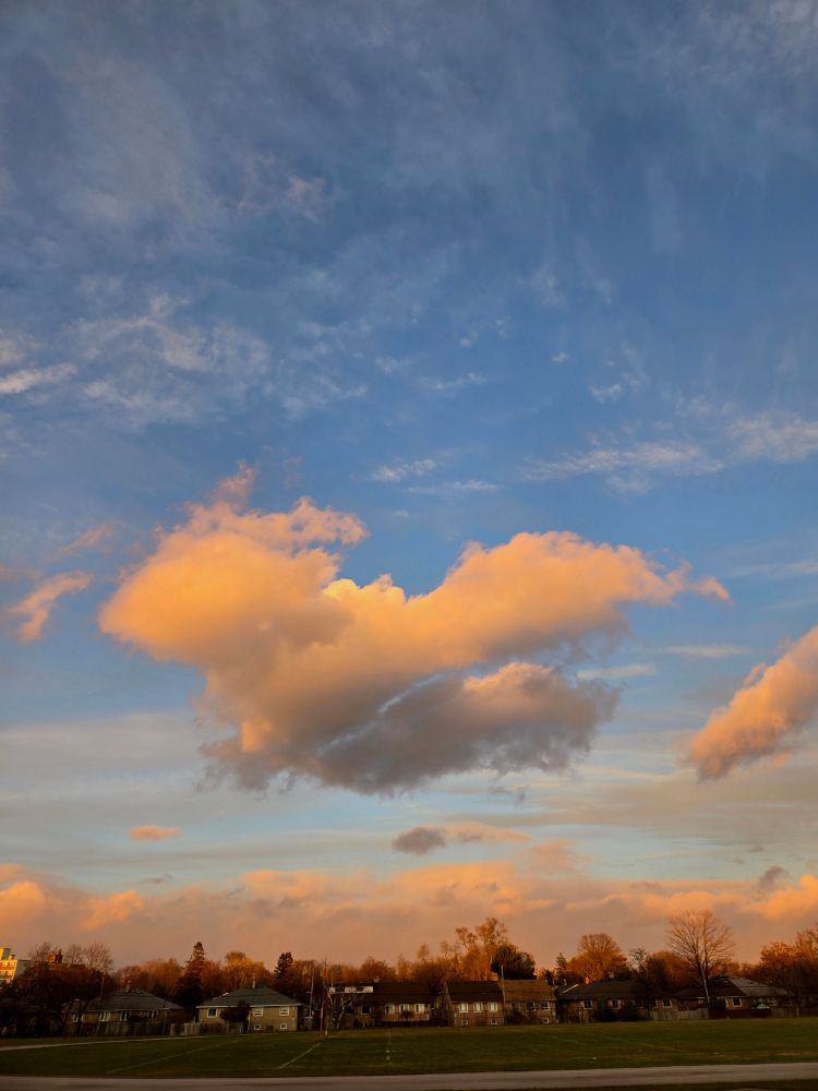A landscape photo focusing on a blue sky with scattered clouds. A prominent large, yellowish-orange cumulus cloud is centrally located, illuminated by the setting sun. Below the clouds is a horizontal line of houses and trees, silhouetted against the bright horizon, with a green field in the foreground.