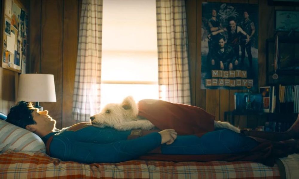 Krypto the superdog laying on a sleeping Superman's chest.