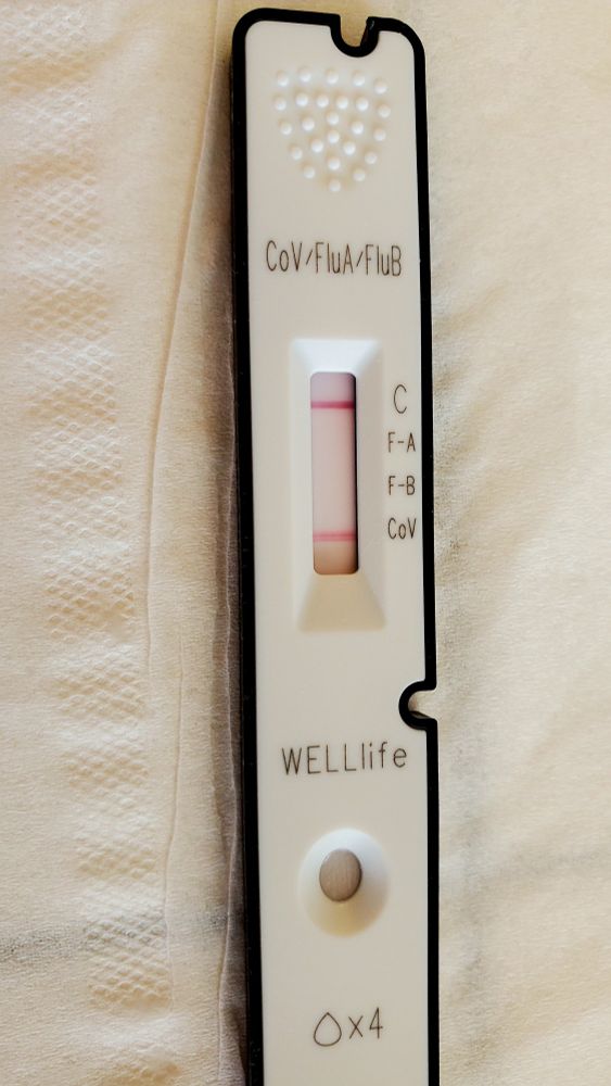 Photo of red lines for positive test result on a white plastic combo Covid/flu tester.