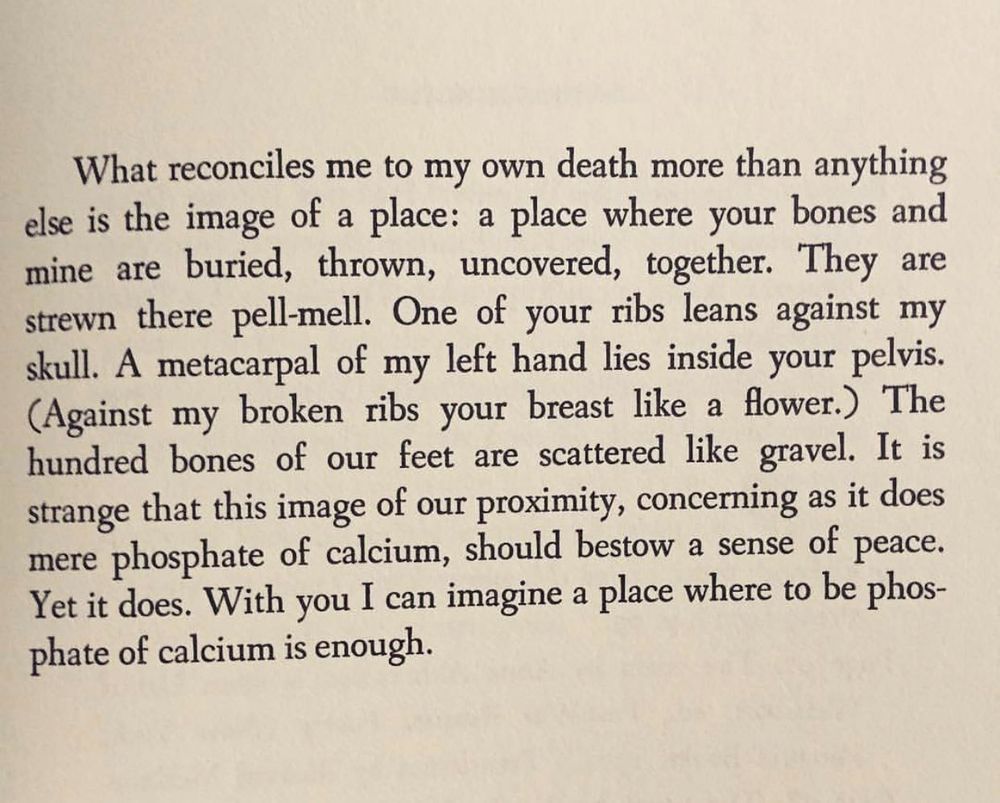 What reconciles me to my own death more than anything else is the image of a place: a place where your bones and mine are buried, thrown, uncovered, together. They are strewn there pell-mell. One of your ribs leans against my skull. A metacarpal of my left hand lies inside your pelvis.
(Against my broken ribs your breast like a flower.) The hundred bones of our feet are scattered like gravel. It is strange that this image of our proximity, concerning as it does mere phosphate of calcium, should bestow a sense of peace.
Yet it does. With you I can imagine a place where to be phosphate of calcium is enough.