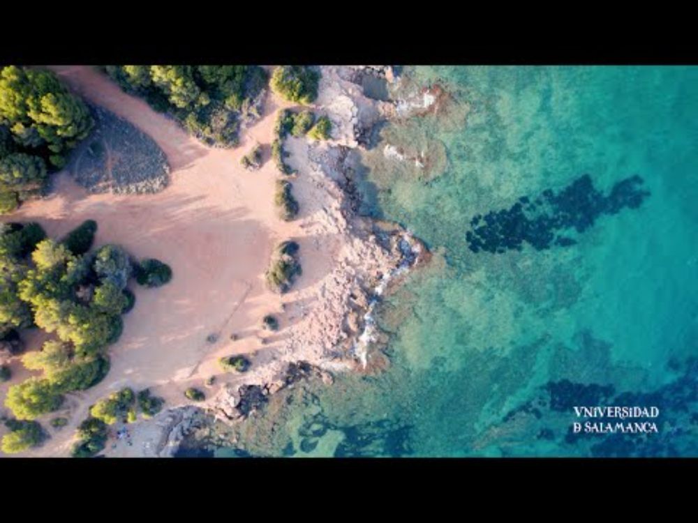 La USAL modeliza 200.00 años de evolución del relieve del mar Mediterráneo