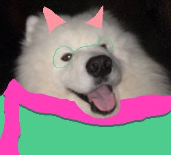 Comment image