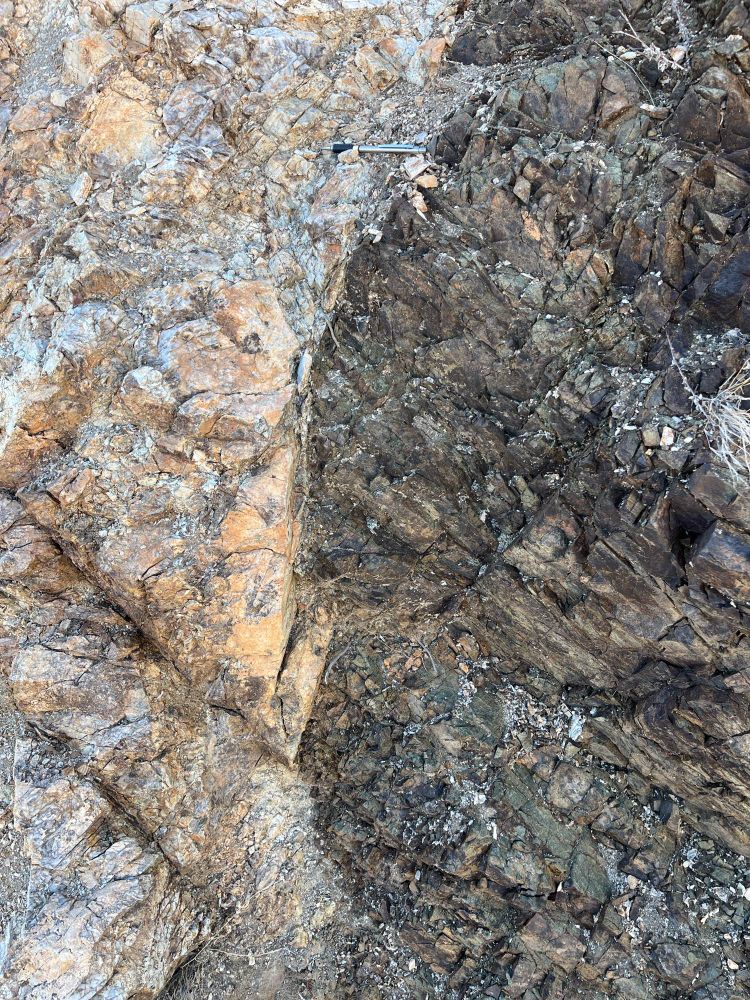 Photo of an outcrop of a the intrusive contact between a light colored pegmatite and darker schist. The contact is sharp and shows little alteration and the pegmatite shows little evidence of a finer crystalline chilled margin. There is a mechanical pencil for scale.