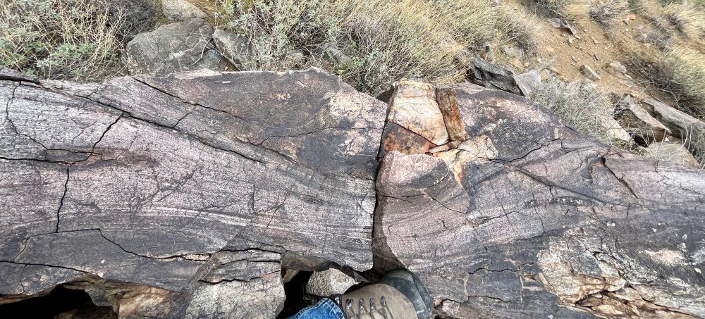 Crossbedded ? metasandstone in the 1.7 billion year old Yavapai Schist in central Arizona USA. Meter-scale hummocky crossbedding with rip-up clasts, truncated lamina, finer- and coarser-grained interbeds. Boot for scale.