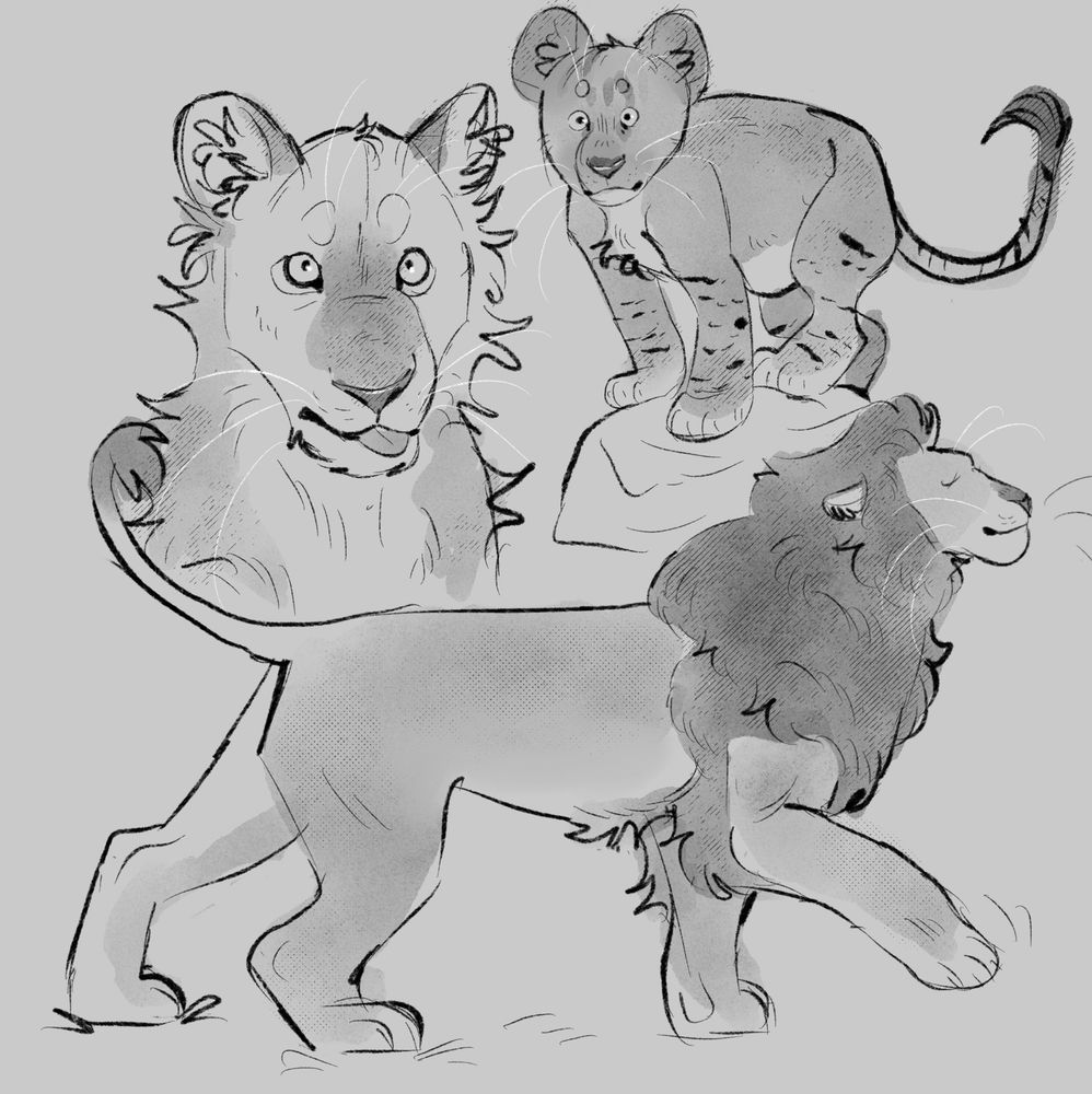 digital sketches of some lions 