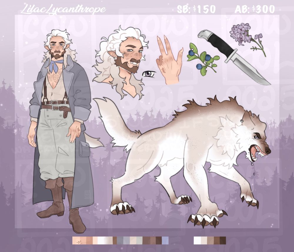 a werewolf man wearing a long lilac colored coat. he has white hair that fades into a light grey-blonde color, light brown facial hair, and purple eyes. his werewolf form is white and brown. additionally, he is missing two fingers on his left hand. he is also pictured with a hunting knife, a sprig of blueberries, and a lilac branch.