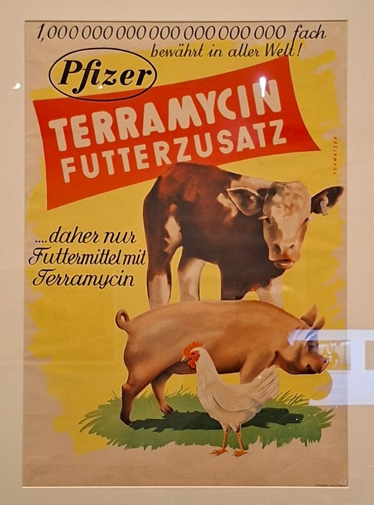 Terramycin Futterzusatz, daher nur Futtermittel mit Antibiotika (1950er Jahre)