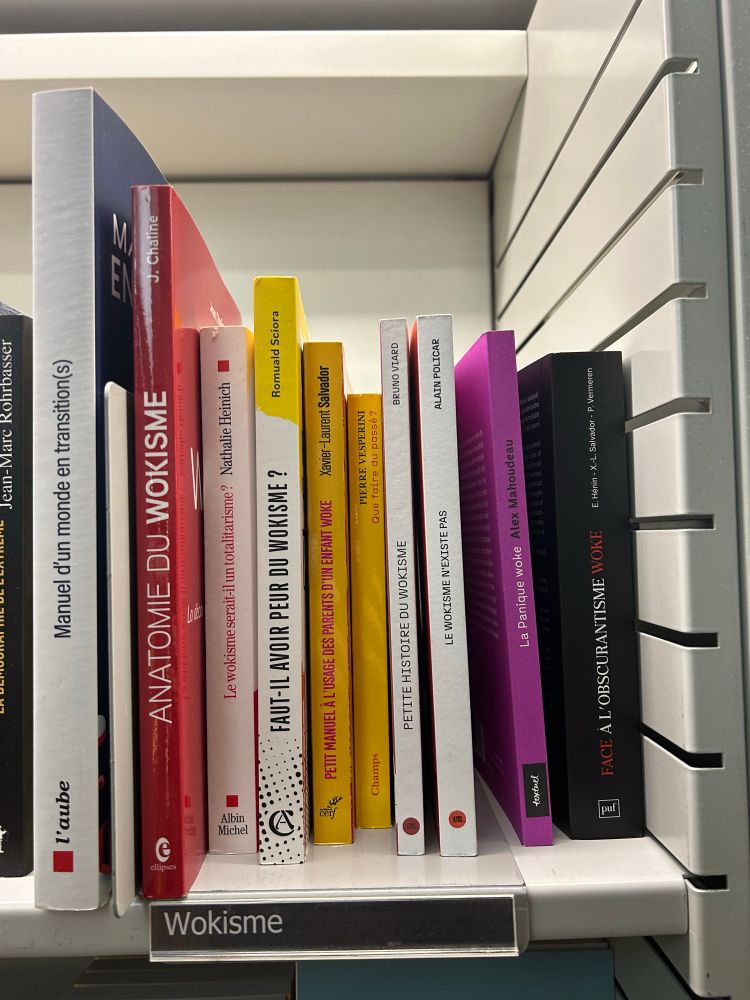 Un petit rayon wokisme dans une Fnac