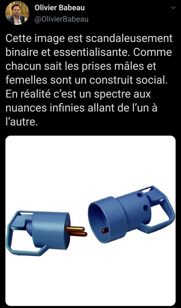 Tweet d’Olivier Babeau avec une photo de deux prises électriques mâle et femelle. Son analyse : Olivier Babeau
@OlivierBabeau
Cette image est scandaleusement binaire et essentialisante. Comme chacun sait les prises mâles et femelles sont un construit social.
En réalité c'est un spectre aux nuances infinies allant de l'un à l'autre.