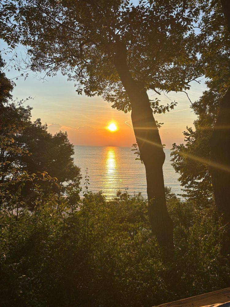 The sun setting through the trees over the horizon of Lake Michigan.