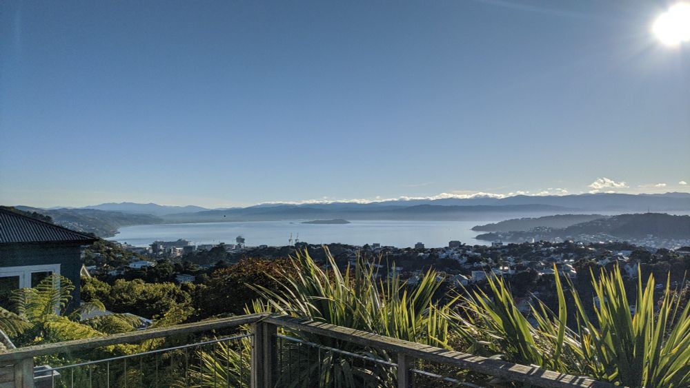 View from Te Kaharore / Karori looking in a North-easterly direction over The Whanganui-a-Tara (Pōneke) / Port Nicholson. The sky is nearly cloudless, and blue. There is a small amount of bokeh / overexposure in the top right corner as it is taken into the sun. In the distance you can see the Remutaka and Ōrongorongo Ranges, Mātiu / Somes Island, and in the right of the image you can see the two Tāniwha (monsters?) Whataitai (foreground) and Ngāke (rear). Ngāke is known as the Miramar Peninsula or Te Motukairangi. In the foreground of the image, there are Cordyline Australis (ssp.) / Cabbage Tree / Tī Kouka.