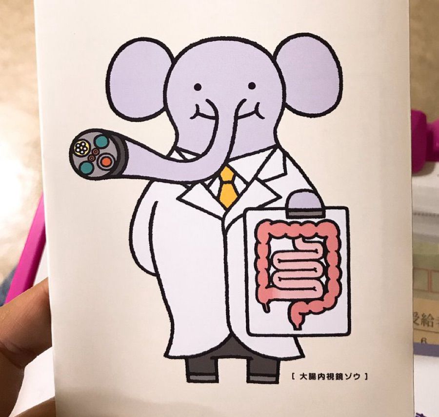 An elephant doctor with an endoscope trunk holds up a picture of a colon.