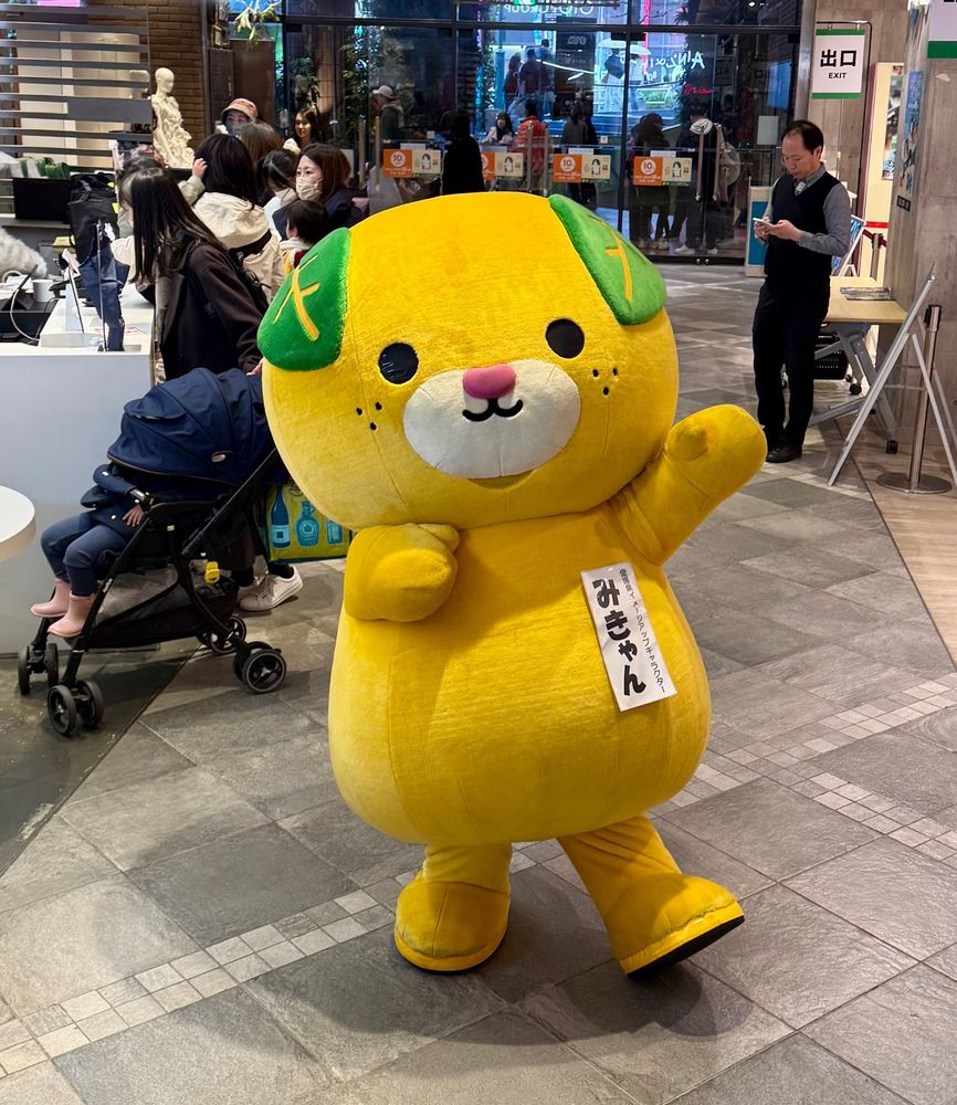 An orange dog with leaf ears stands in a shopping mall.