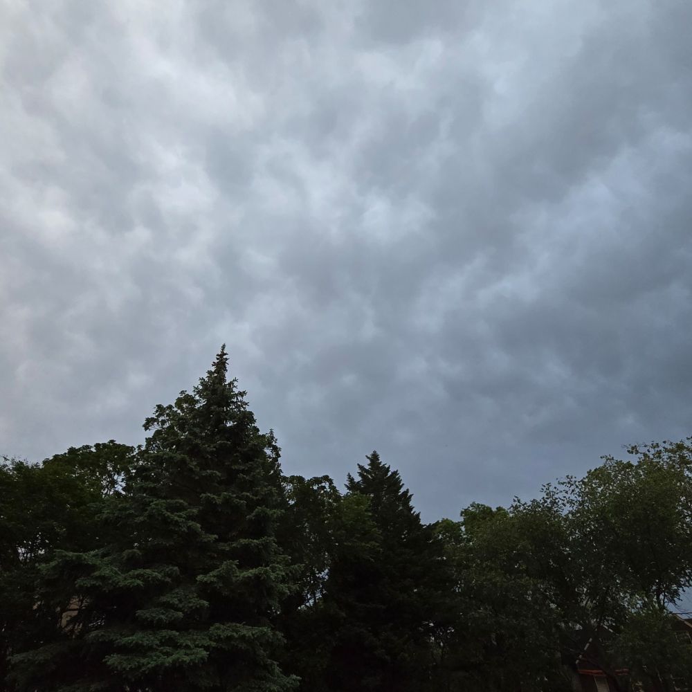 A mix of evergreen and deciduous trees anchors the bottom of the frame. A mottled gray cloudy sky is above the trees, taking up most of the frame.