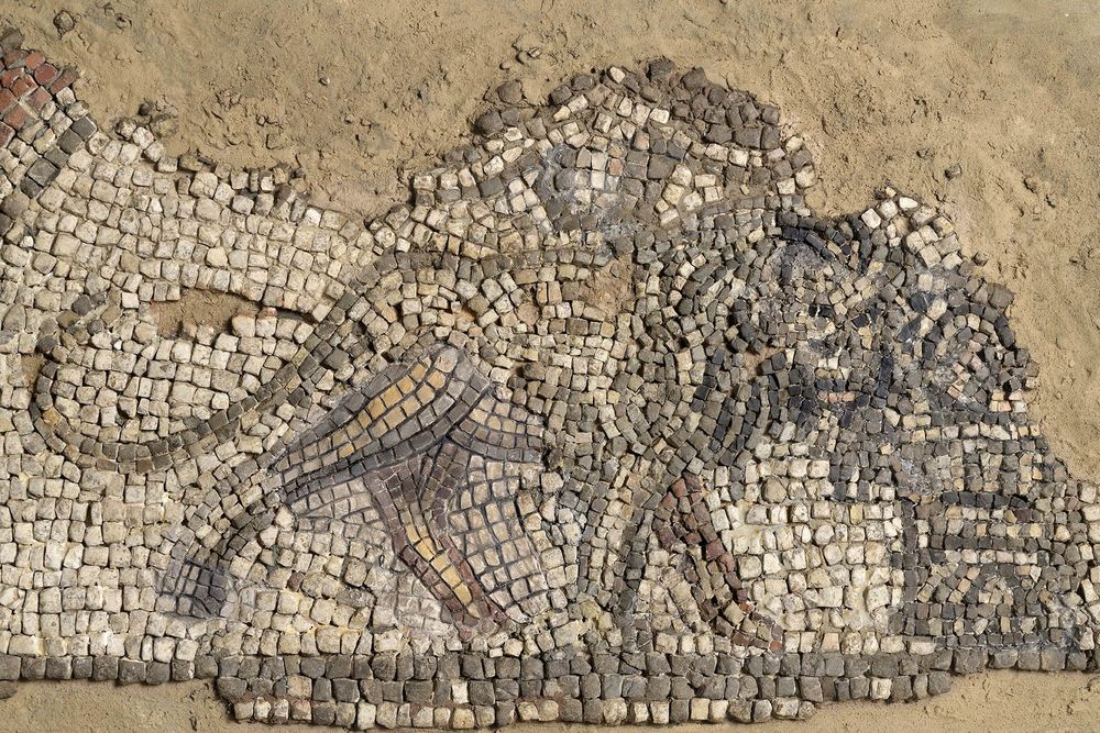 Ancient mosaic fragment depicting a lion in profile, facing right, partially embedded in sandy soil. The image is composed of small, coloured tesserae in shades of cream, grey, black, brown, and muted red. The lion's form is clearly defined, with flowing lines outlining its mane, muscular limbs, and curling tail. Subtle shading and contouring with darker tesserae give the figure depth and movement. The surrounding area is incomplete, with tesserae missing or faded into the soil, highlighting the piece's age and archaeological context.